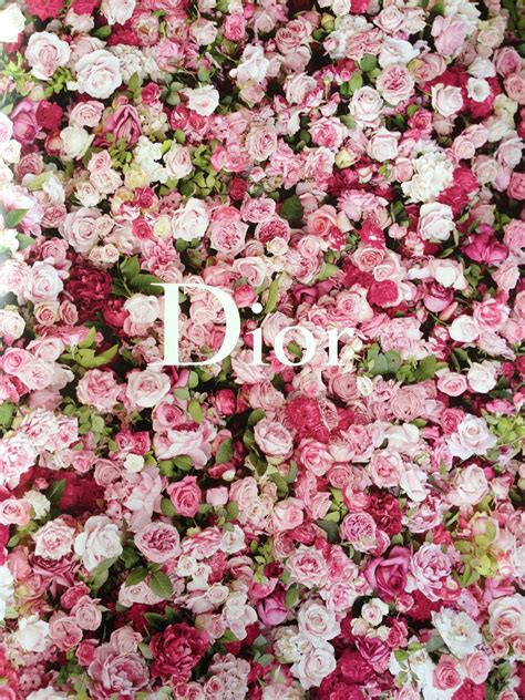 dior 01 pink|Dior pink flower.